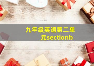 九年级英语第二单元sectionb