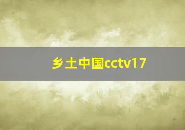 乡土中国cctv17