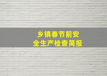 乡镇春节前安全生产检查简报