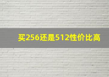 买256还是512性价比高