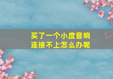 买了一个小度音响连接不上怎么办呢