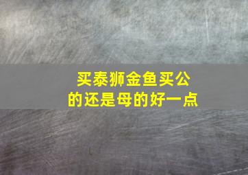 买泰狮金鱼买公的还是母的好一点