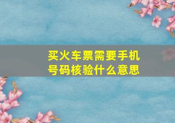 买火车票需要手机号码核验什么意思