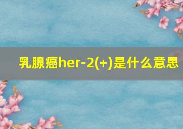 乳腺癌her-2(+)是什么意思