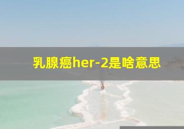 乳腺癌her-2是啥意思