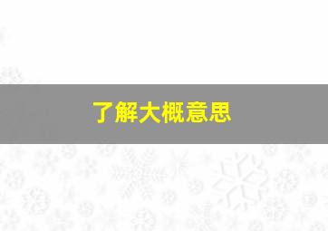 了解大概意思