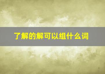 了解的解可以组什么词