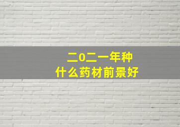 二0二一年种什么药材前景好