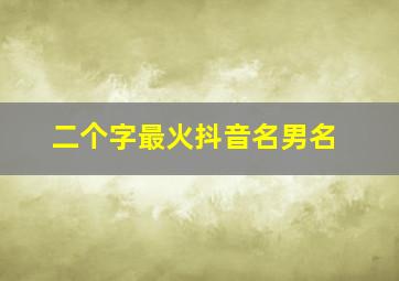 二个字最火抖音名男名