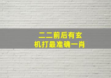 二二前后有玄机打最准确一肖