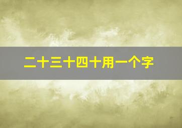 二十三十四十用一个字