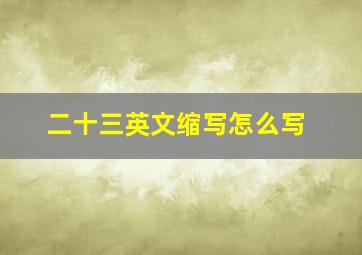 二十三英文缩写怎么写