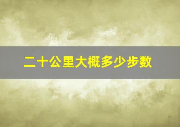 二十公里大概多少步数