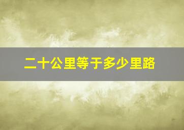 二十公里等于多少里路