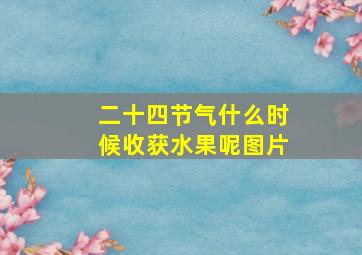 二十四节气什么时候收获水果呢图片