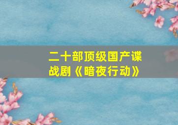 二十部顶级国产谍战剧《暗夜行动》