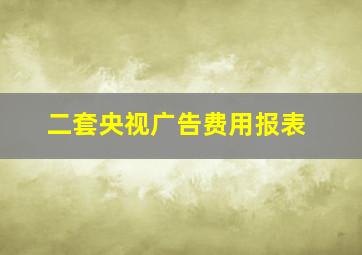 二套央视广告费用报表