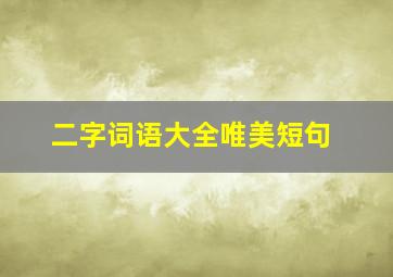 二字词语大全唯美短句