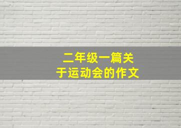 二年级一篇关于运动会的作文