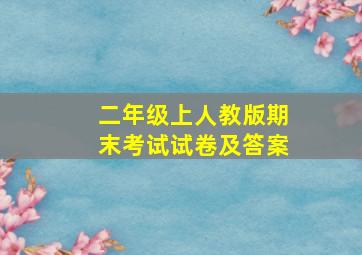 二年级上人教版期末考试试卷及答案