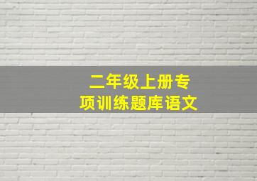 二年级上册专项训练题库语文