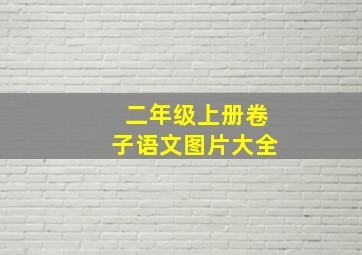 二年级上册卷子语文图片大全