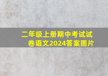 二年级上册期中考试试卷语文2024答案图片