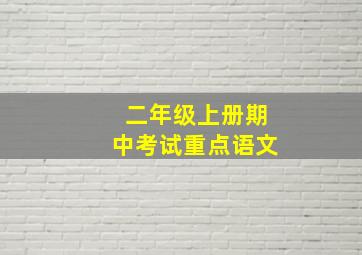 二年级上册期中考试重点语文