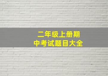 二年级上册期中考试题目大全