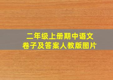 二年级上册期中语文卷子及答案人教版图片