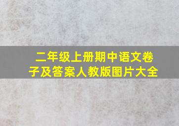 二年级上册期中语文卷子及答案人教版图片大全