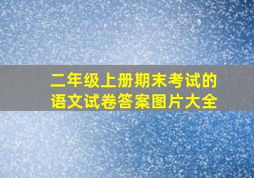 二年级上册期末考试的语文试卷答案图片大全