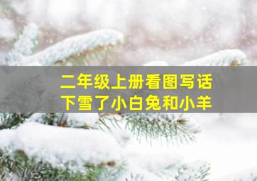 二年级上册看图写话下雪了小白兔和小羊