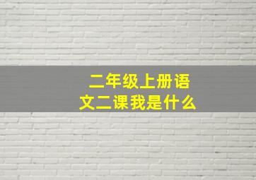 二年级上册语文二课我是什么