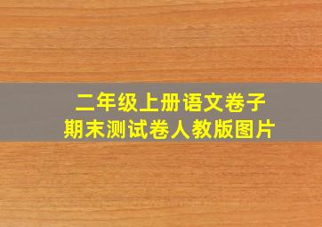 二年级上册语文卷子期末测试卷人教版图片