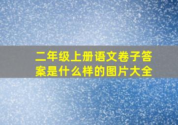 二年级上册语文卷子答案是什么样的图片大全