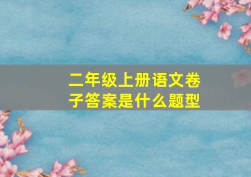 二年级上册语文卷子答案是什么题型