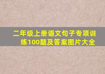 二年级上册语文句子专项训练100题及答案图片大全