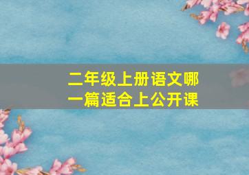 二年级上册语文哪一篇适合上公开课