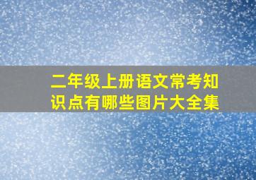 二年级上册语文常考知识点有哪些图片大全集