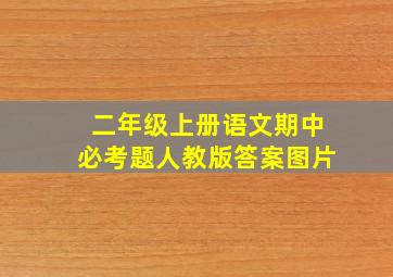 二年级上册语文期中必考题人教版答案图片