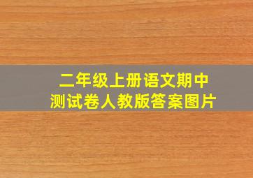 二年级上册语文期中测试卷人教版答案图片