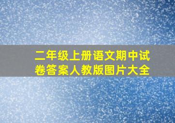 二年级上册语文期中试卷答案人教版图片大全