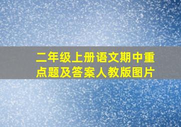 二年级上册语文期中重点题及答案人教版图片