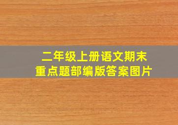 二年级上册语文期末重点题部编版答案图片