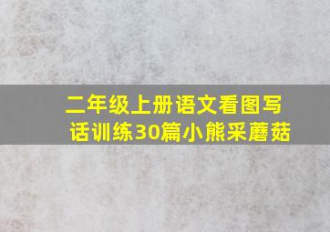 二年级上册语文看图写话训练30篇小熊采蘑菇