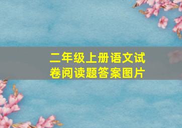 二年级上册语文试卷阅读题答案图片