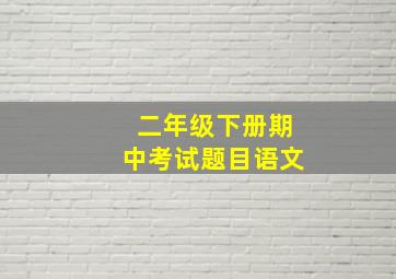 二年级下册期中考试题目语文