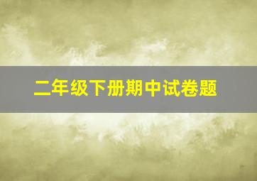 二年级下册期中试卷题