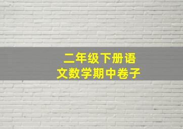 二年级下册语文数学期中卷子